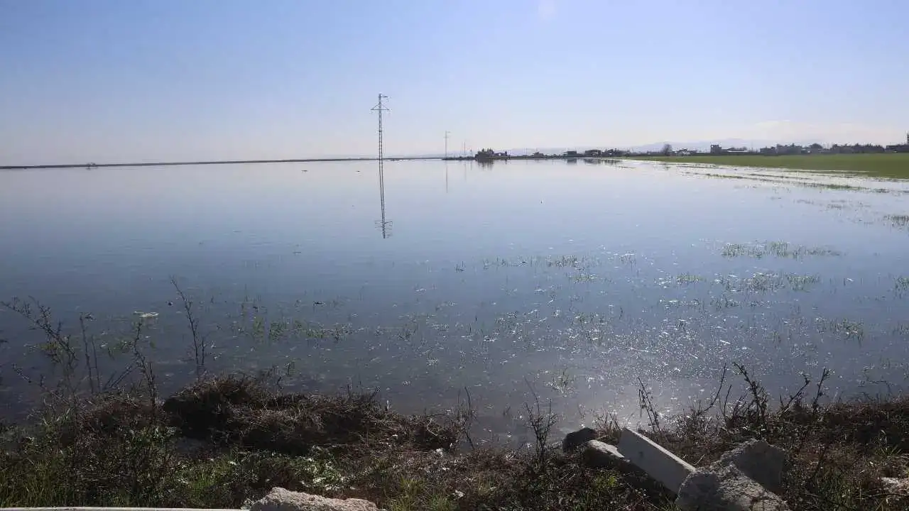 Hatay’da Çiftçinin Kaderi Değişmedi: Kuraklıktan Sonra Sel Vurdu! 5